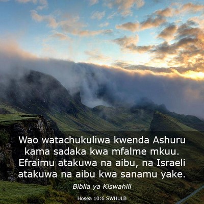 Picture 03 - Hosea 10:6 SWHULB - Wao watachukuliwa kwenda Ashuru kama sadaka kwa - Bible Verse Picture