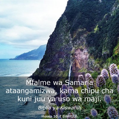 Picture 03 - Hosea 10:7 SWHULB - Mfalme wa Samaria ataangamizwa, kama chipu cha - Bible Verse Picture