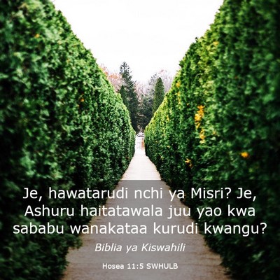Picture 03 - Hosea 11:5 SWHULB - Je, hawatarudi nchi ya Misri? Je, Ashuru - Bible Verse Picture