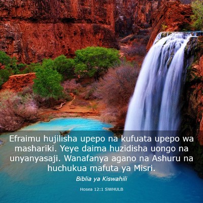 Picture 03 - Hosea 12:1 SWHULB - Efraimu hujilisha upepo na kufuata upepo wa - Bible Verse Picture