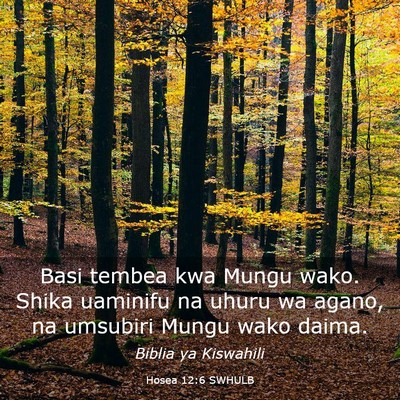 Picture 03 - Hosea 12:6 SWHULB - Basi tembea kwa Mungu wako. Shika uaminifu na - Bible Verse Picture