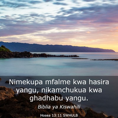 Picture 03 - Hosea 13:11 SWHULB - Nimekupa mfalme kwa hasira yangu, nikamchukua kwa - Bible Verse Picture