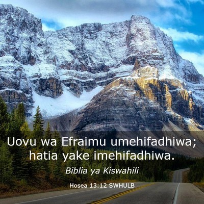Picture 03 - Hosea 13:12 SWHULB - Uovu wa Efraimu umehifadhiwa; hatia yake - Bible Verse Picture