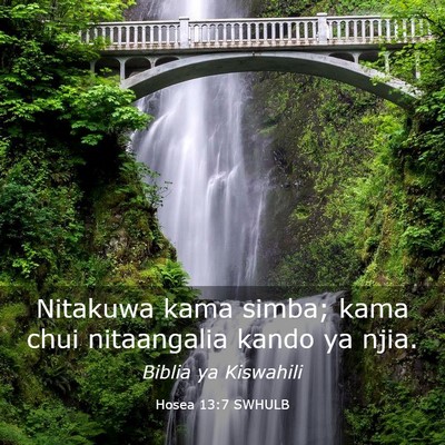 Picture 03 - Hosea 13:7 SWHULB - Nitakuwa kama simba; kama chui nitaangalia kando - Bible Verse Picture