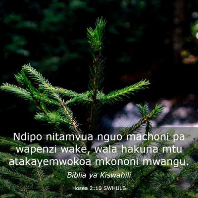 Picture 03 - Hosea 2:10 SWHULB - Ndipo nitamvua nguo machoni pa wapenzi wake, wala - Bible Verse Picture