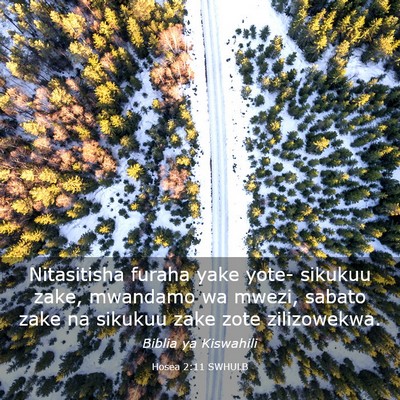 Picture 03 - Hosea 2:11 SWHULB - Nitasitisha furaha yake yote- sikukuu zake, - Bible Verse Picture