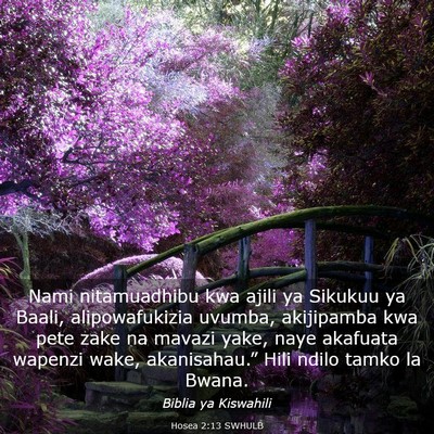 Picture 03 - Hosea 2:13 SWHULB - Nami nitamuadhibu kwa ajili ya Sikukuu ya Baali, - Bible Verse Picture