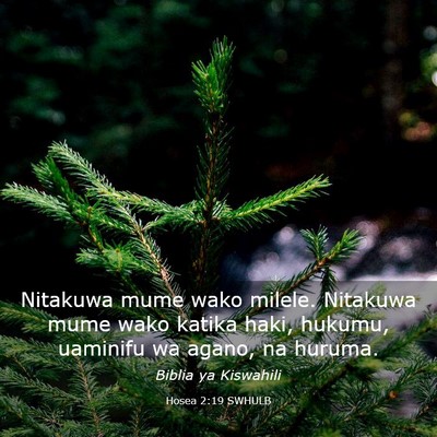 Picture 03 - Hosea 2:19 SWHULB - Nitakuwa mume wako milele. Nitakuwa mume wako - Bible Verse Picture