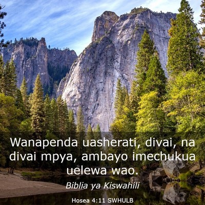 Picture 03 - Hosea 4:11 SWHULB - Wanapenda uasherati, divai, na divai mpya, ambayo - Bible Verse Picture