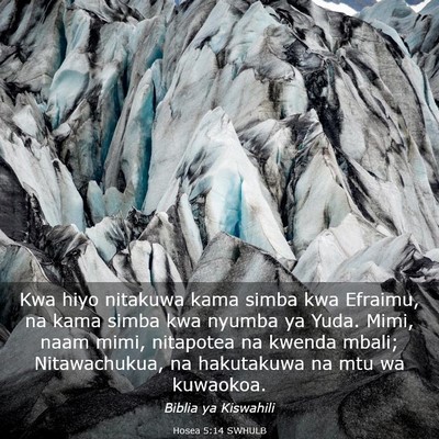 Picture 03 - Hosea 5:14 SWHULB - Kwa hiyo nitakuwa kama simba kwa Efraimu, na kama - Bible Verse Picture