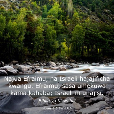 Picture 03 - Hosea 5:3 SWHULB - Najua Efraimu, na Israeli hajajificha kwangu. - Bible Verse Picture