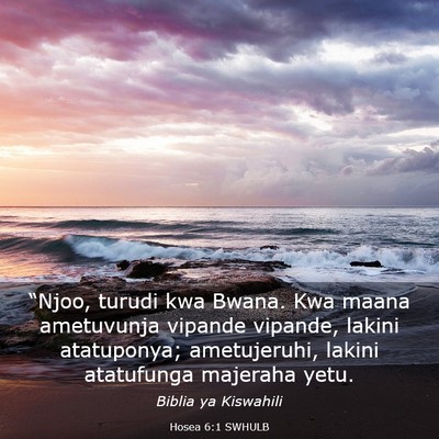 Picture 03 - Hosea 6:1 SWHULB - “Njoo, turudi kwa Bwana. Kwa maana ametuvunja - Bible Verse Picture