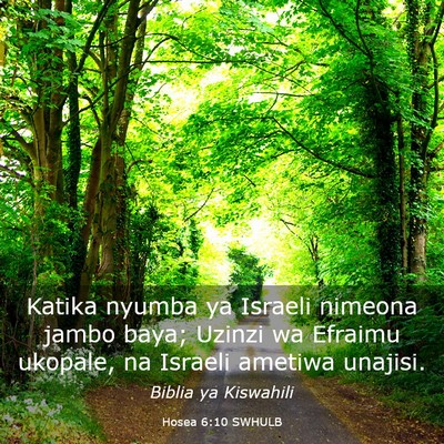 Picture 03 - Hosea 6:10 SWHULB - Katika nyumba ya Israeli nimeona jambo baya; - Bible Verse Picture