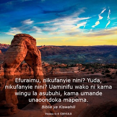Picture 03 - Hosea 6:4 SWHULB - Efuraimu, nikufanyie nini? Yuda, nikufanyie nini? - Bible Verse Picture