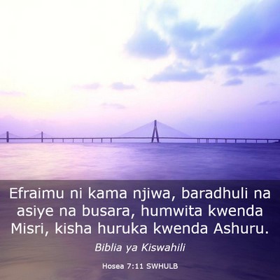 Picture 03 - Hosea 7:11 SWHULB - Efraimu ni kama njiwa, baradhuli na asiye na - Bible Verse Picture