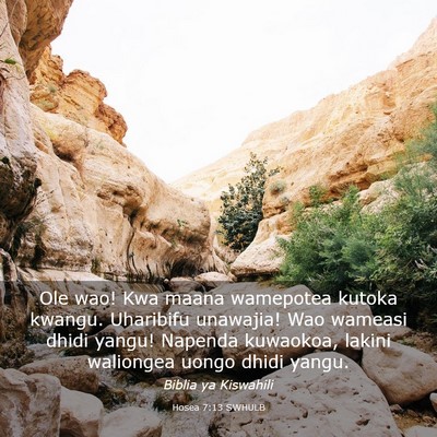 Picture 03 - Hosea 7:13 SWHULB - Ole wao! Kwa maana wamepotea kutoka kwangu. - Bible Verse Picture