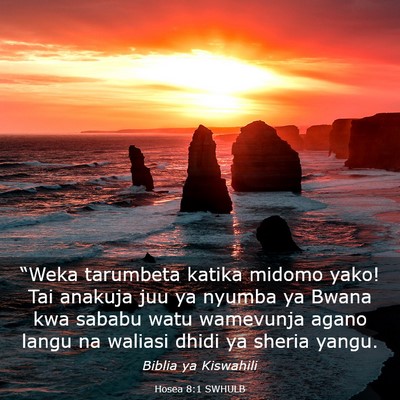 Picture 03 - Hosea 8:1 SWHULB - “Weka tarumbeta katika midomo yako! Tai anakuja - Bible Verse Picture