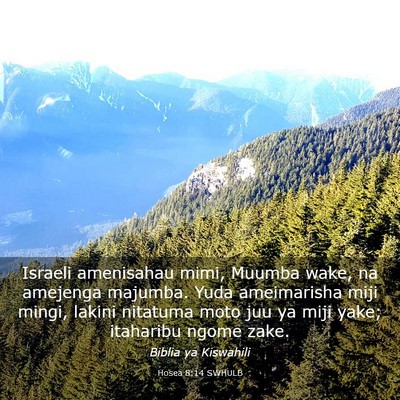 Picture 03 - Hosea 8:14 SWHULB - Israeli amenisahau mimi, Muumba wake, na amejenga - Bible Verse Picture