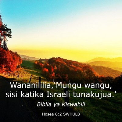 Picture 03 - Hosea 8:2 SWHULB - Wananililia,'Mungu wangu, sisi katika Israeli - Bible Verse Picture