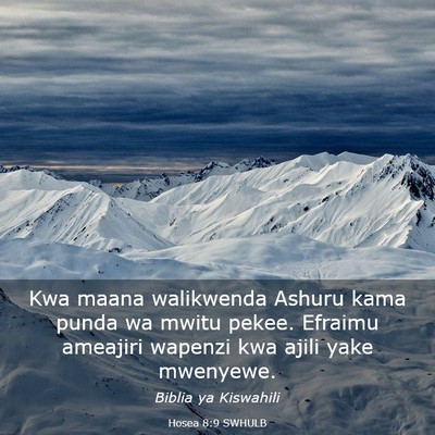 Picture 03 - Hosea 8:9 SWHULB - Kwa maana walikwenda Ashuru kama punda wa mwitu - Bible Verse Picture