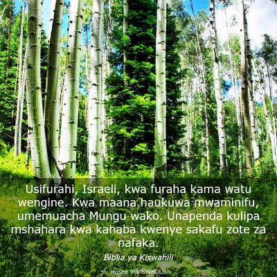 Picture 03 - Hosea 9:1 SWHULB - Usifurahi, Israeli, kwa furaha kama watu wengine. - Bible Verse Picture