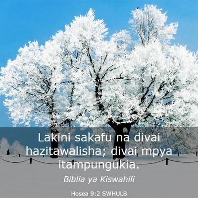 Picture 03 - Hosea 9:2 SWHULB - Lakini sakafu na divai hazitawalisha; divai mpya - Bible Verse Picture