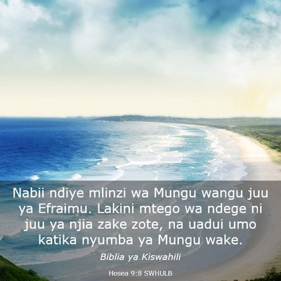 Picture 03 - Hosea 9:8 SWHULB - Nabii ndiye mlinzi wa Mungu wangu juu ya Efraimu. - Bible Verse Picture