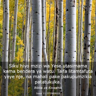 Picture 03 - Isaya 11:10 SWHULB - Siku hiyo mzizi wa Yese utasimama kama bendera ya - Bible Verse Picture