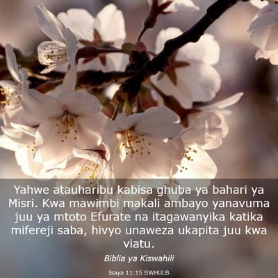 Picture 03 - Isaya 11:15 SWHULB - Yahwe atauharibu kabisa ghuba ya bahari ya Misri. - Bible Verse Picture