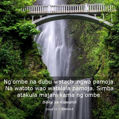 Picture 03 - Isaya 11:7 SWHULB - Ng'ombe na dubu watachungwa pamoja. Na watoto wao - Bible Verse Picture
