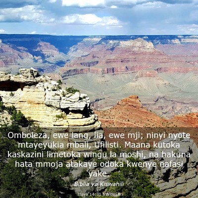 Picture 03 - Isaya 14:31 SWHULB - Omboleza, ewe lang, lia, ewe mji; ninyi nyote - Bible Verse Picture
