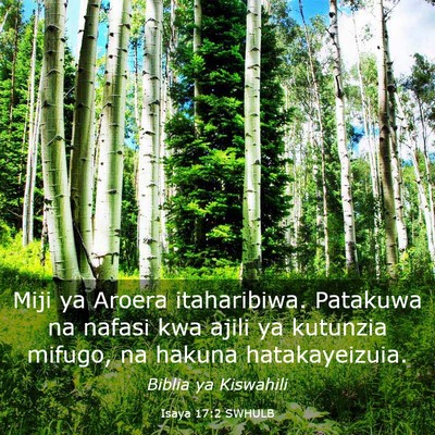 Picture 03 - Isaya 17:2 SWHULB - Miji ya Aroera itaharibiwa. Patakuwa na nafasi - Bible Verse Picture