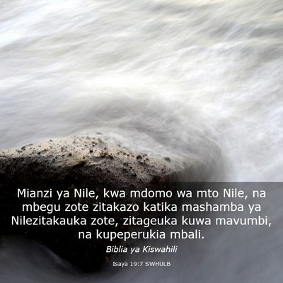 Picture 03 - Isaya 19:7 SWHULB - Mianzi ya Nile, kwa mdomo wa mto Nile, na mbegu - Bible Verse Picture