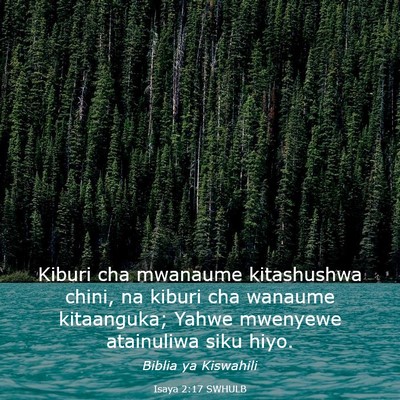 Picture 03 - Isaya 2:17 SWHULB - Kiburi cha mwanaume kitashushwa chini, na kiburi - Bible Verse Picture