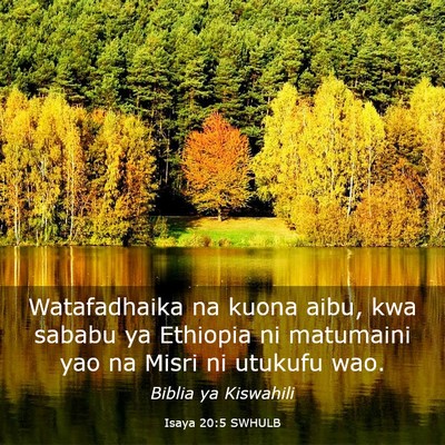 Picture 03 - Isaya 20:5 SWHULB - Watafadhaika na kuona aibu, kwa sababu ya - Bible Verse Picture