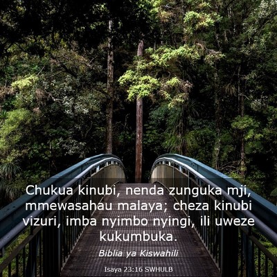 Picture 03 - Isaya 23:16 SWHULB - Chukua kinubi, nenda zunguka mji, mmewasahau - Bible Verse Picture