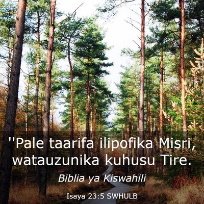 Picture 03 - Isaya 23:5 SWHULB - ''Pale taarifa ilipofika Misri, watauzunika - Bible Verse Picture