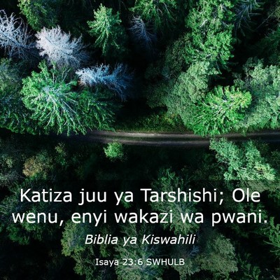 Picture 03 - Isaya 23:6 SWHULB - Katiza juu ya Tarshishi; Ole wenu, enyi wakazi wa - Bible Verse Picture
