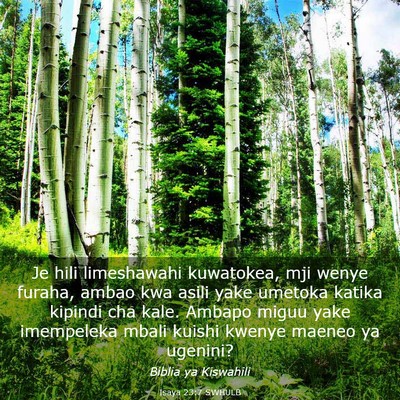 Picture 03 - Isaya 23:7 SWHULB - Je hili limeshawahi kuwatokea, mji wenye furaha, - Bible Verse Picture