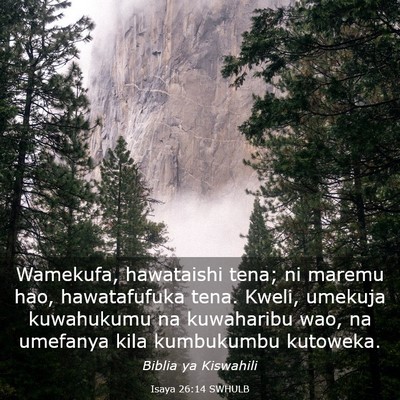 Picture 03 - Isaya 26:14 SWHULB - Wamekufa, hawataishi tena; ni maremu hao, - Bible Verse Picture