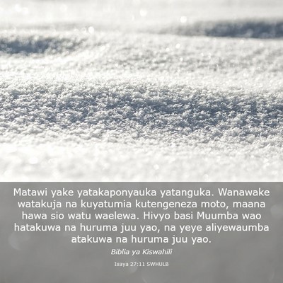 Picture 03 - Isaya 27:11 SWHULB - Matawi yake yatakaponyauka yatanguka. Wanawake - Bible Verse Picture