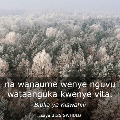 Picture 03 - Isaya 3:25 SWHULB - na wanaume wenye nguvu wataanguka kwenye - Bible Verse Picture