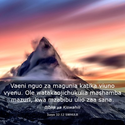 Picture 03 - Isaya 32:12 SWHULB - Vaeni nguo za magunia katika viuno vyenu. Ole - Bible Verse Picture