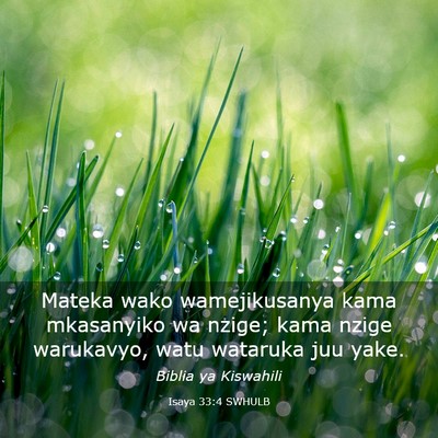 Picture 03 - Isaya 33:4 SWHULB - Mateka wako wamejikusanya kama mkasanyiko wa - Bible Verse Picture