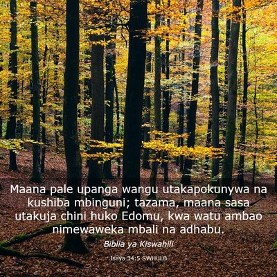 Picture 03 - Isaya 34:5 SWHULB - Maana pale upanga wangu utakapokunywa na kushiba - Bible Verse Picture