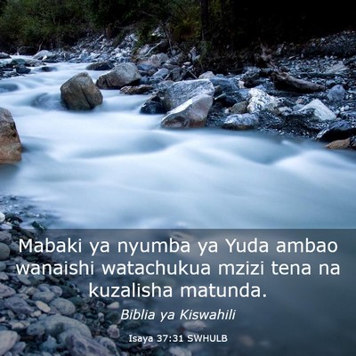 Picture 03 - Isaya 37:31 SWHULB - Mabaki ya nyumba ya Yuda ambao wanaishi - Bible Verse Picture
