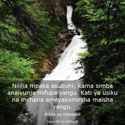 Picture 03 - Isaya 38:13 SWHULB - Nililia mpaka asubuhi; kama simba anaivunja - Bible Verse Picture