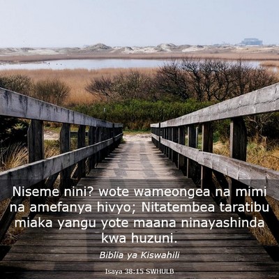 Picture 03 - Isaya 38:15 SWHULB - Niseme nini? wote wameongea na mimi na amefanya - Bible Verse Picture