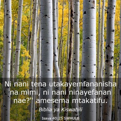 Picture 03 - Isaya 40:25 SWHULB - Ni nani tena utakayemfananisha na mimi, ni nani - Bible Verse Picture