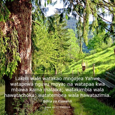 Picture 03 - Isaya 40:31 SWHULB - Lakini wale watakao mngojea Yahwe watapewa nguvu - Bible Verse Picture